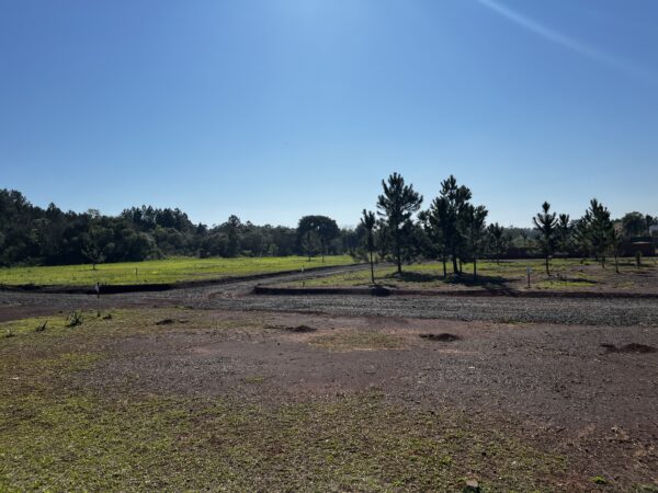 loteo la dalmacia