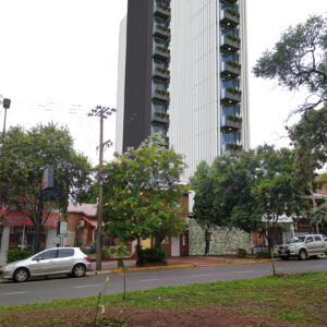 madre selva