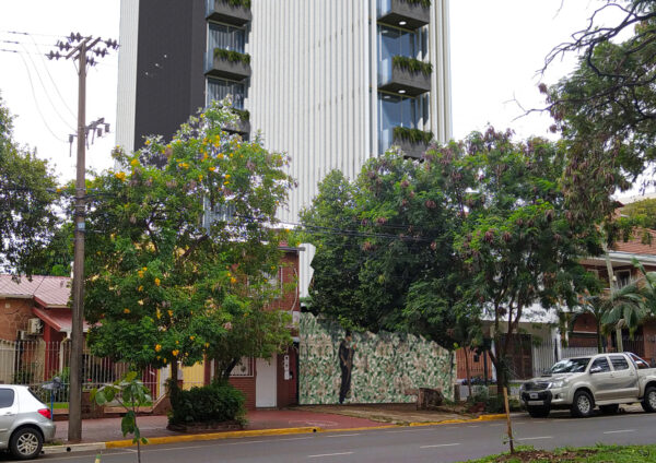 madre selva