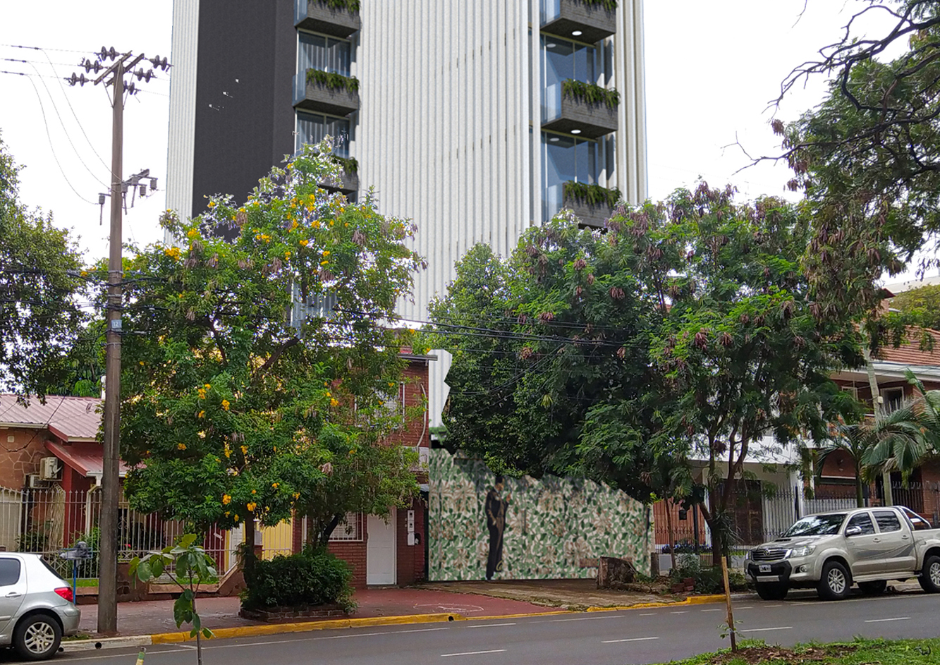 madre selva
